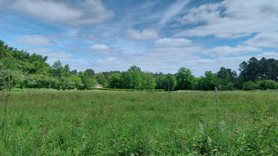 Terrain - 18 003 m²