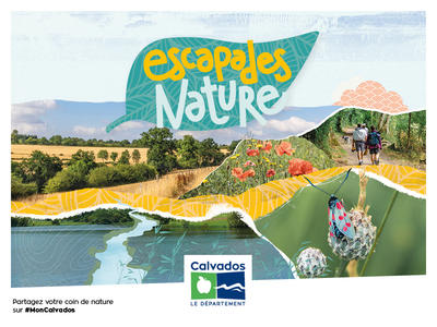 Exposition temporaire : &quot;Mosasaures, les dents du Crétacé&quot;