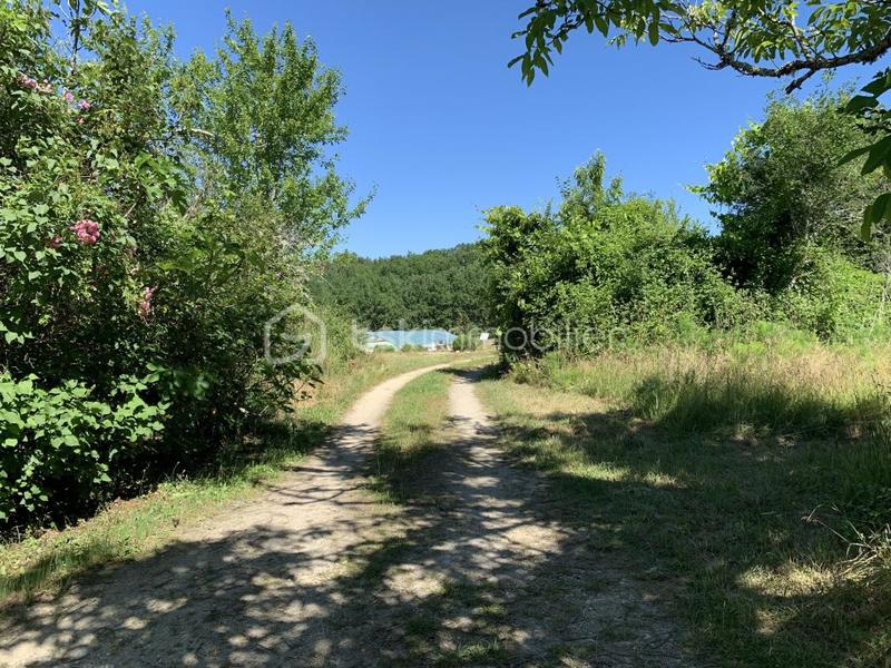 Maison en pierre - 203 m² - 10 pièces