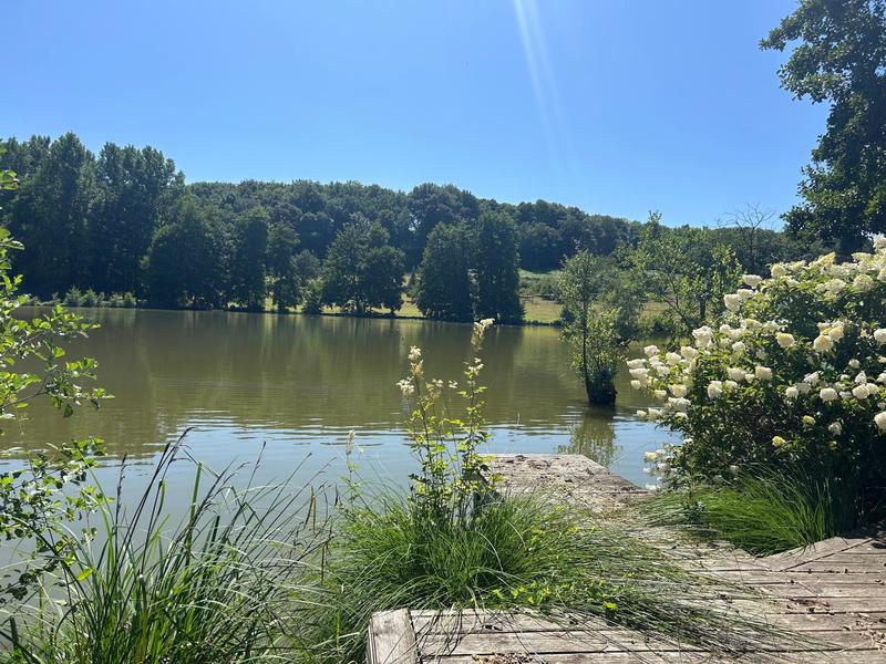 Maison - 371 m² - 7 pièces