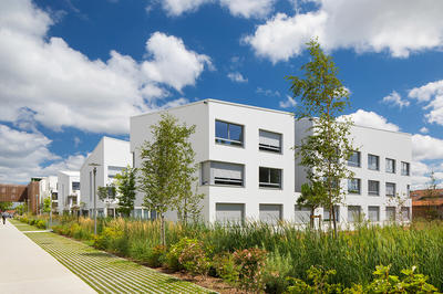 Studio - 21 m² - 1 pièce