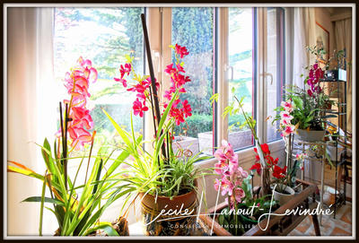 Maison - 165 m² - 7 pièces