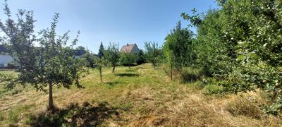 Terrain - 860 m²