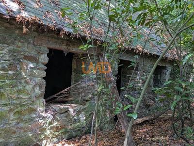 Maison en pierre - 60 m² - 2 pièces