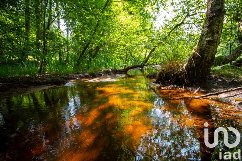 Terrain - 39 973 m²