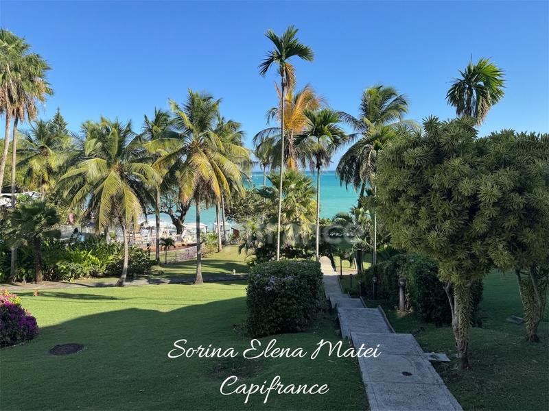 Appartement - 54 m² - 2 pièces