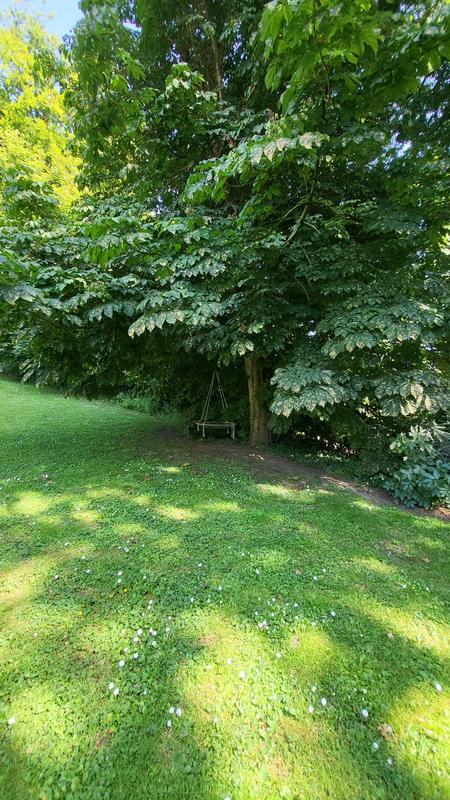 Maison contemporaine - 370 m² - 8 pièces