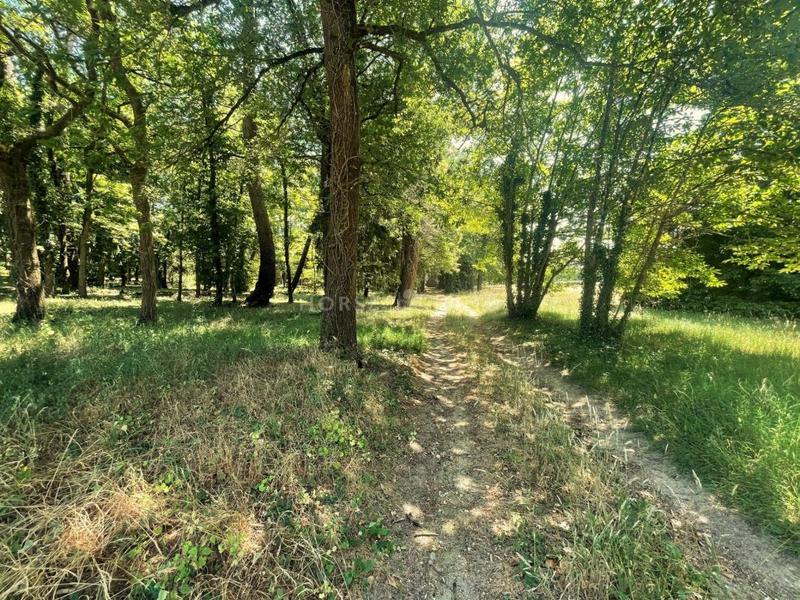 Haras - 303 m² - 10 pièces