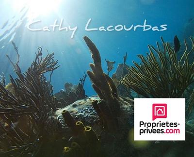 Propriété - 400 m² - 20 pièces