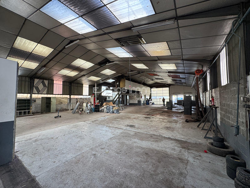 Local commercial - 786 m²