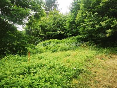 Terrain constructible - 1 238 m²