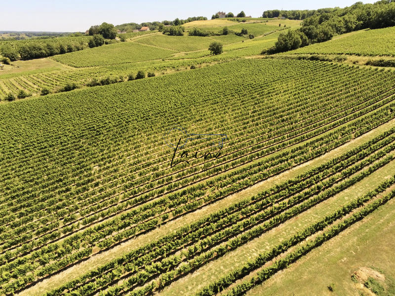 Propriété - 254 m² - 9 pièces