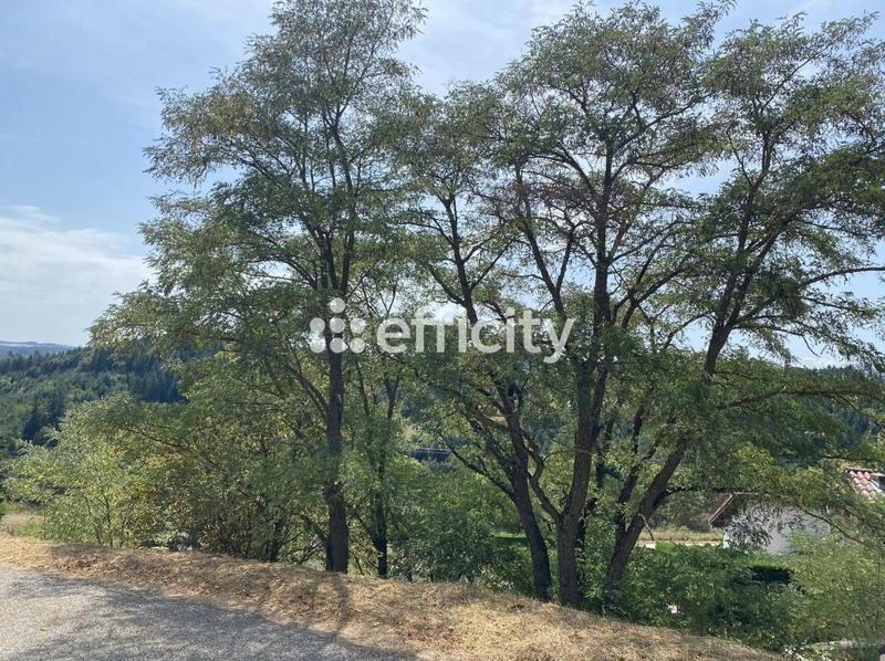 Maison - 57 m² - 2 pièces