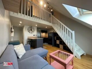 Duplex - 23 m² - 1 pièce