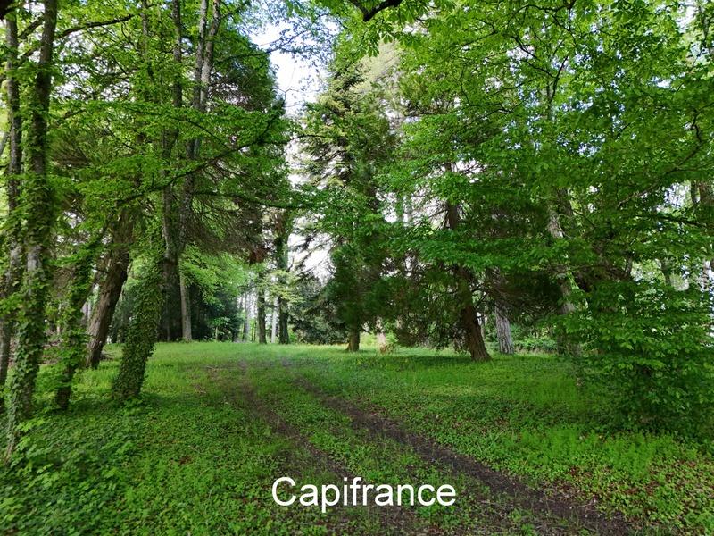 Propriété - 600 m² - 15 pièces