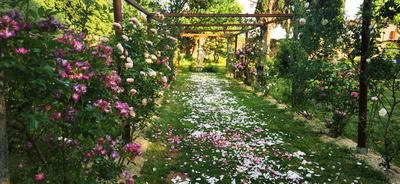 Les Jardins de l'Ange