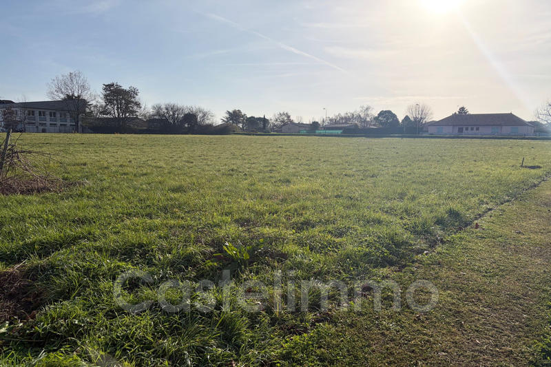 Terrain - 11 988 m²