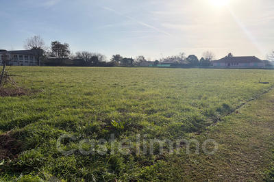 Terrain - 11 988 m²