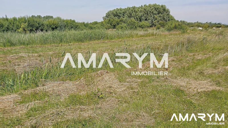 Terrain agricole - 7 245 m²