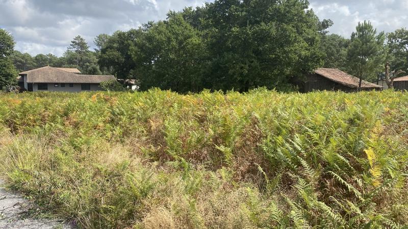 Terrain constructible - 1 350 m²