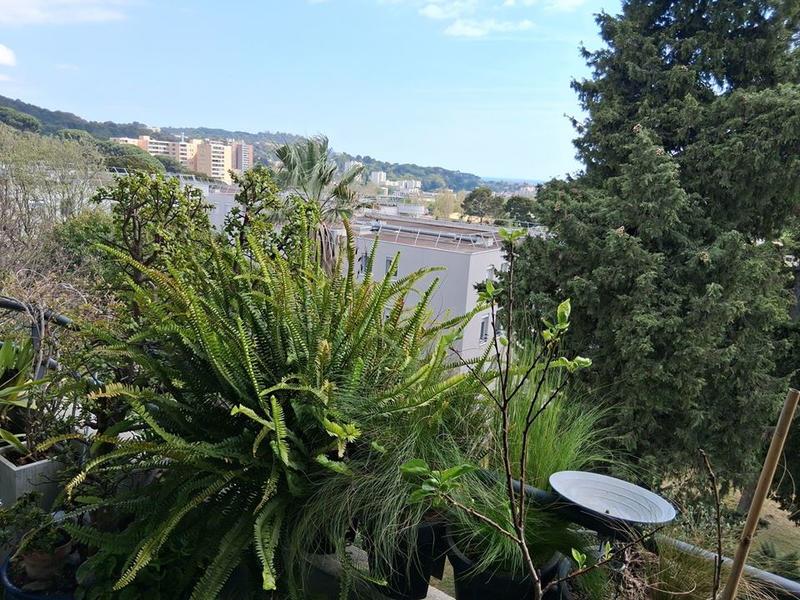 Appartement - 79 m² - 4 pièces