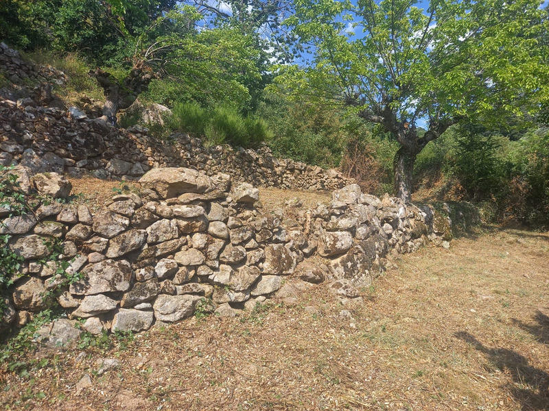 Maison - 167 m² - 6 pièces