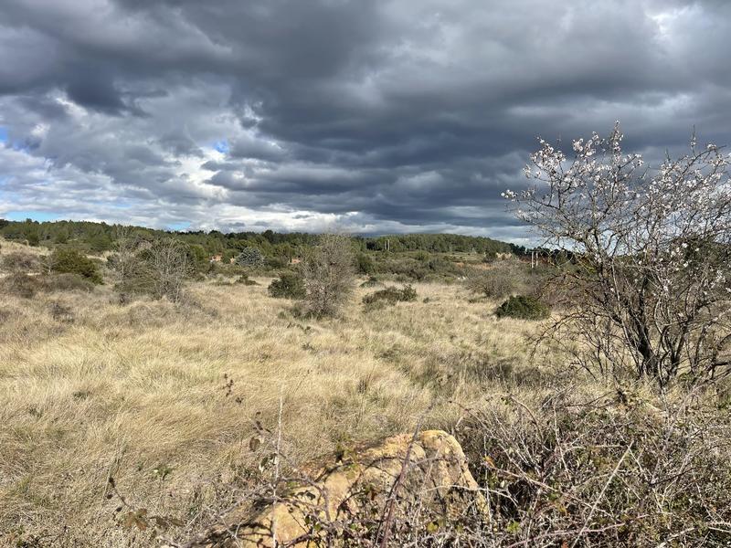 Terrain inconstructible - 6 683 m²