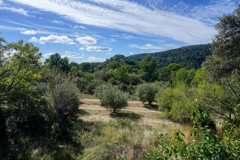 Mas - 220 m² - 5 pièces