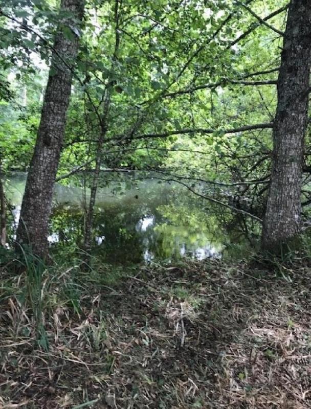 Maison - 137 m² - 4 pièces