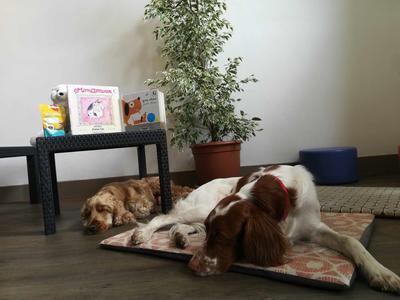 Lire avec les chiens