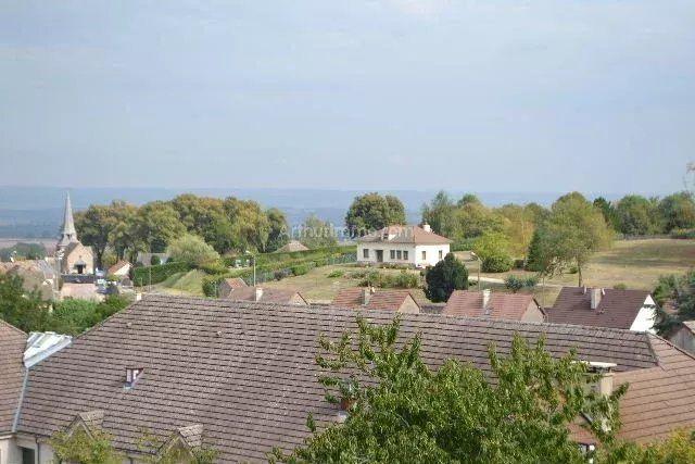 Hôtel particulier - 368 m² - 15 pièces