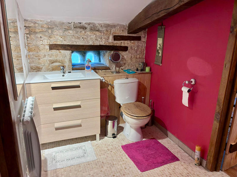 Maison - 360 m² - 13 pièces