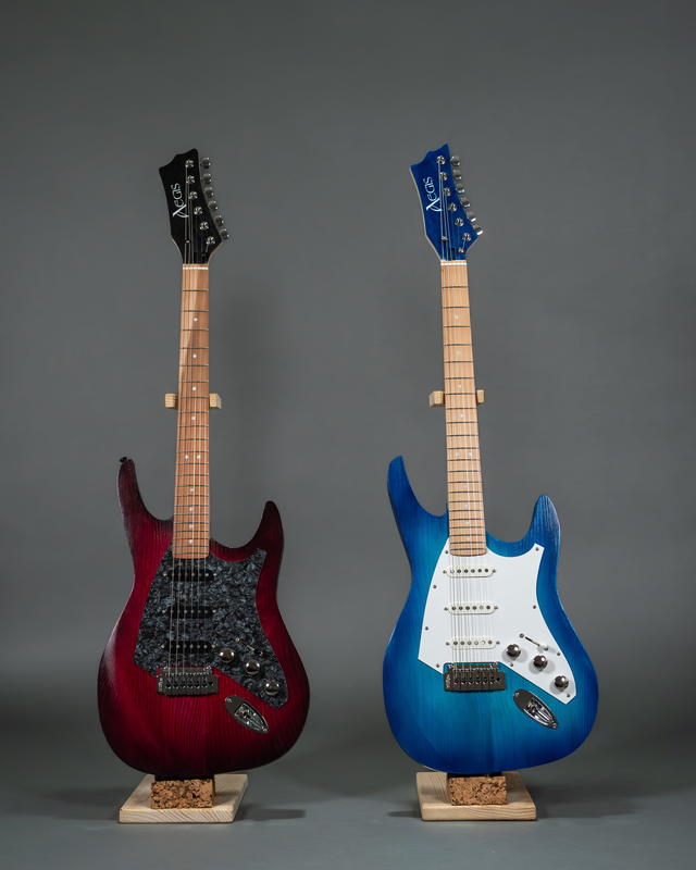 Concert de lancement Aegis guitares