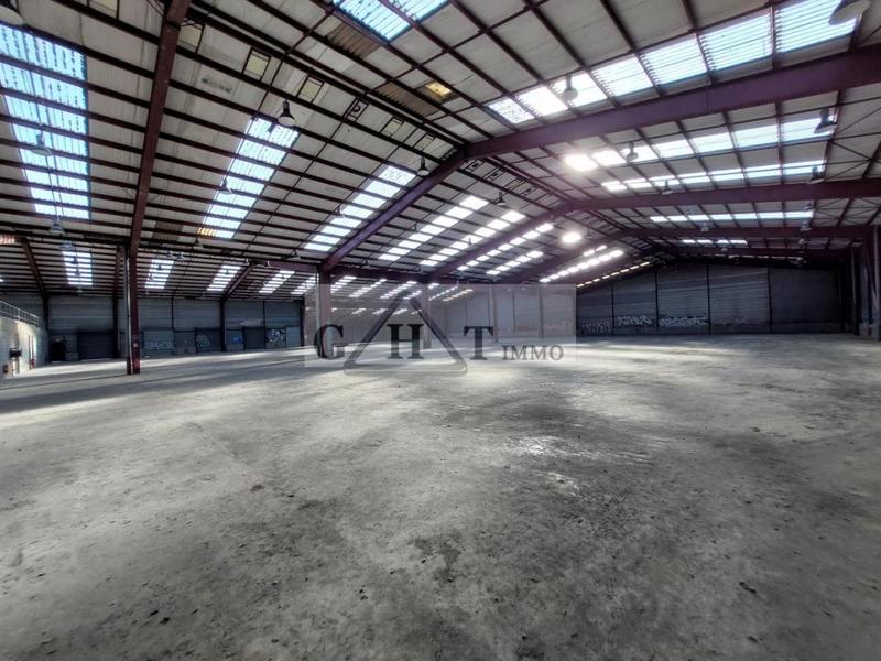 Entrepôt - 5 100 m²