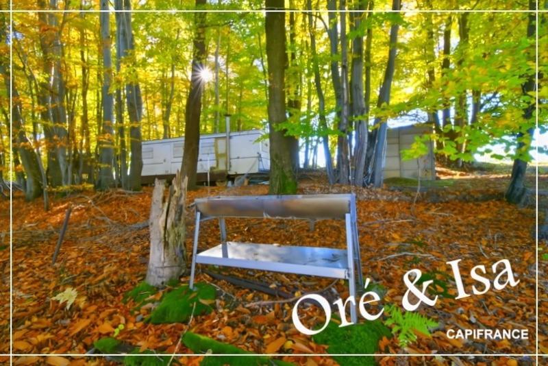 Terrain - 49 655 m²