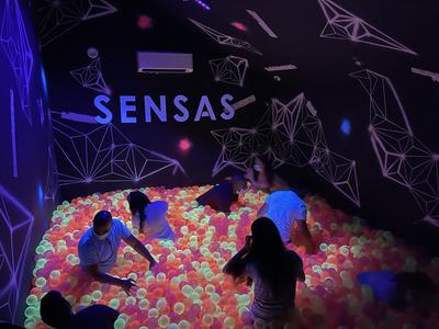 Sensas Cergy Pontoise