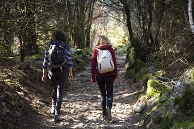 L'hivernal du lac : randonnée