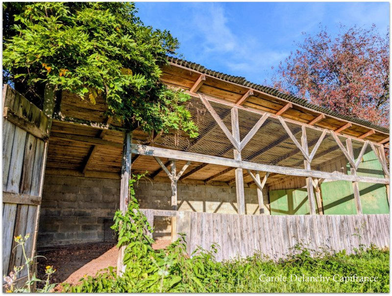 Maison - 200 m² - 8 pièces