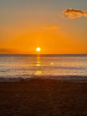 Local commercial - 180 m²