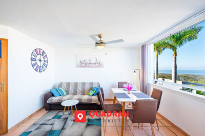 Appartement - 36 m² - 1 pièce