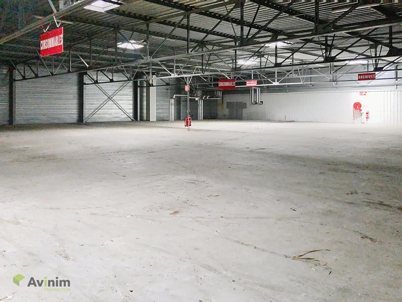 Local d'activités - 1 007 m²
