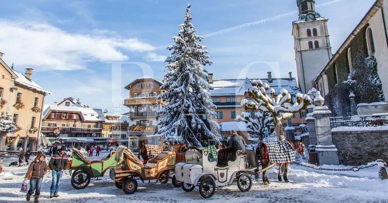 Châlet - 300 m² - 9 pièces