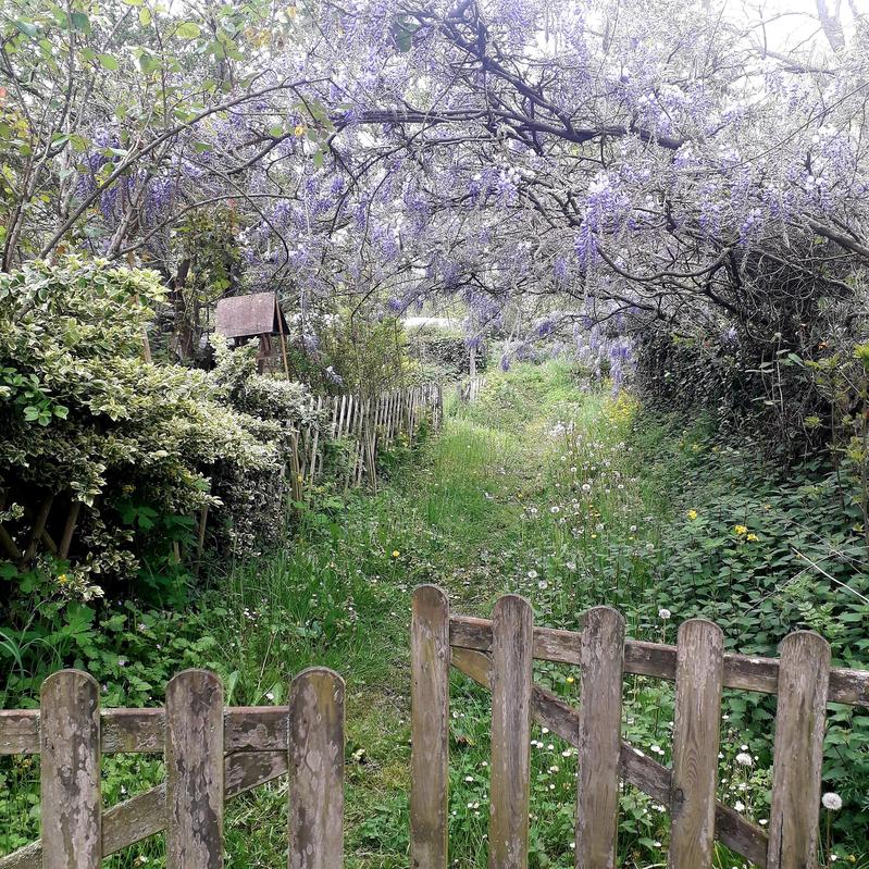 Ateliers-transitions