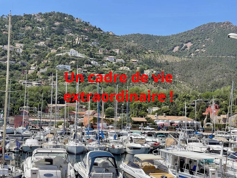 Appartement - 31 m² - 1 pièce