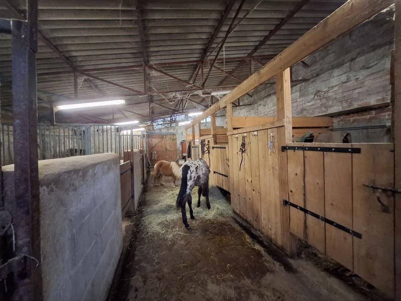 Maison - 117 m² - 4 pièces