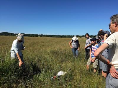 Voyage en tourbière