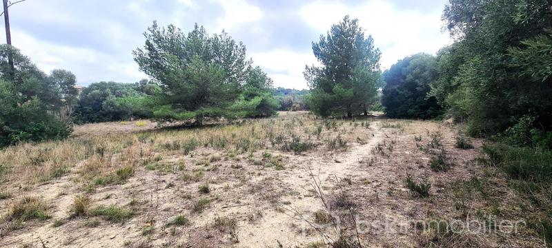Terrain - 1 220 m²