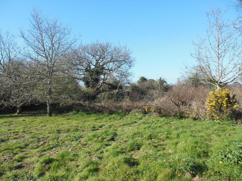 Terrain constructible - 2 300 m²