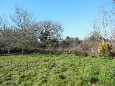 Terrain constructible - 2 300 m²