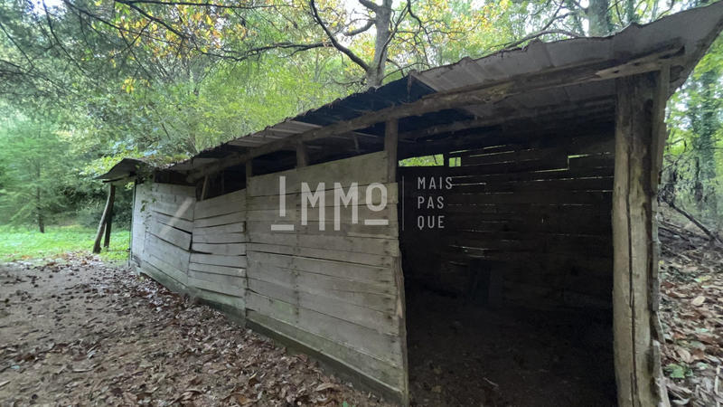 Terrain de loisirs - 13 798 m²